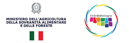 logo-min-2024-min